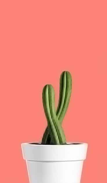 会员商店可靠的手机号狂轰滥炸软件